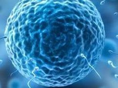 青海省试管婴儿医院排名，西宁红十字医院上榜前三