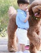 陕西试管助孕等卵子的资源到底要多久？2026申请卵子的资源要满足什么条件