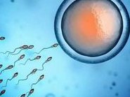 大庆油田乘风医院洗精费用多少钱？试管婴儿移植成功后检查流程有哪些？