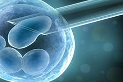 北京试管婴儿流程时长及操作要求详解