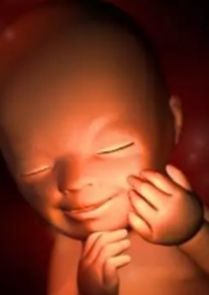 2026苏州官方认证助孕机构汇总，哪家助孕公司更值得信赖？